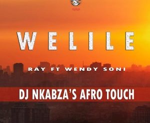 Ray, Wendy Soni, Welile (Dj Nkabza Afro Touch), mp3, download, datafilehost, fakaza, Afro House 2018, Afro House Mix, Afro House Music, House Music