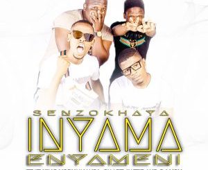 Senzokhaya, Inyama Enyameni, King Yobumnandi, Smart Awtie, DJ Vox, mp3, download, datafilehost, fakaza, Gqom Beats, Gqom Songs, Gqom Music, Gqom Mix