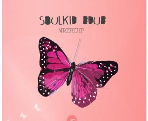 Soulkid Bdub, Iron Rod (Original Mix), mp3, download, datafilehost, fakaza, Afro House 2018, Afro House Mix, Afro House Music, House Music