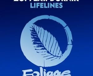 Zo!, Lifelines (N’Dinga Gaba Reelmix), Dornik, N’Dinga Gaba, mp3, download, datafilehost, fakaza, Afro House, Afro House 2018, Afro House Mix, Afro House Music, House Music