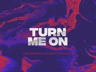 Afro Warriors, Dj Sing, Turn Me On (Vocal Mix), Charlene Lai, mp3, download, datafilehost, fakaza, Afro House, Afro House 2018, Afro House Mix, Afro House Music, House Music