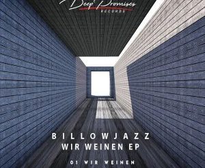 Billowjaz, Wir Weinen (Original Mix), mp3, download, datafilehost, fakaza, Deep House Mix, Deep House, Deep House Music, Deep Tech, Afro Deep Tech, House Music