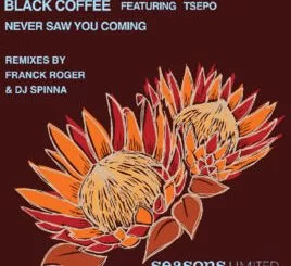Black Coffee, Never Saw You Coming, download ,zip, zippyshare, fakaza, EP, datafilehost, album, Afro House, Afro House 2018, Afro House Mix, Afro House Music, House Music