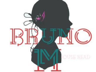 Bruno_M, Afro Brotherz, Illinois, mp3, download, datafilehost, fakaza, Afro House, Afro House 2018, Afro House Mix, Afro House Music, House Music