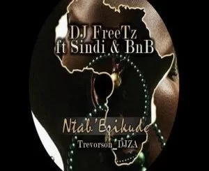 DJ FreeTz, Sindi, BnB, Ntab’ Ezikude (Trevorson_DJZA Remix), Trevorson_DJZA, mp3, download, datafilehost, fakaza, Afro House, Afro House 2018, Afro House Mix, Afro House Music, House Music