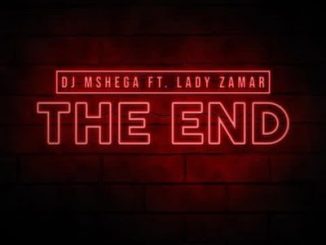 Dj Mshega, The End (SoulDeep’s Nerdic Mix), Lady Zamar, mp3, download, datafilehost, fakaza, Soulful House Mix, Soulful House, Soulful House Music, House Music