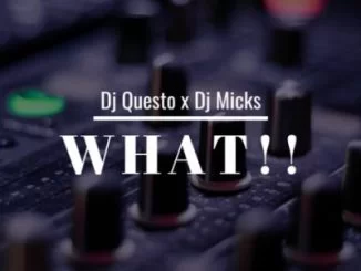 Dj Questo, Dj Micks, What!!, mp3, download, datafilehost, fakaza, Afro House, Afro House 2018, Afro House Mix, Afro House Music, House Music