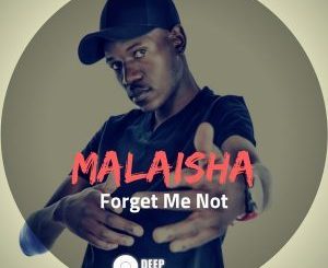 Malaisha, Forget Me Not (Original Mix), mp3, download, datafilehost, fakaza, Afro House, Afro House 2018, Afro House Mix, Afro House Music, House Music