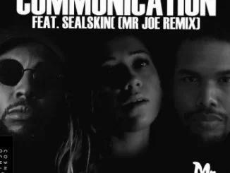 Mr. Blasé, Communication (Mr Joe Remix), Sealskin, mp3, download, datafilehost, fakaza, Afro House, Afro House 2018, Afro House Mix, Afro House Music, House Music