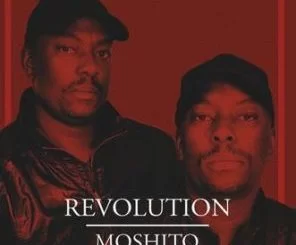 Revolution, Let Me Go, Hlulani, mp3, download, datafilehost, fakaza, Soulful House Mix, Soulful House, Soulful House Music, House Music