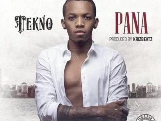 Tekno, Pana, mp3, download, datafilehost, toxicwap, fakaza, Afro Beats