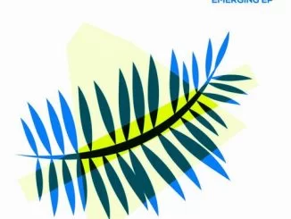 VA, Emerging, download ,zip, zippyshare, fakaza, EP, datafilehost, album, Afro House, Afro House 2018, Afro House Mix, Afro House Music, House Music