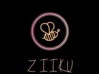 Z I I K U, Gqom Wave, mp3, download, datafilehost, fakaza, Gqom Beats, Gqom Songs, Gqom Music, Gqom Mix