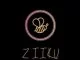 Z I I K U, Gqom Wave, mp3, download, datafilehost, fakaza, Gqom Beats, Gqom Songs, Gqom Music, Gqom Mix