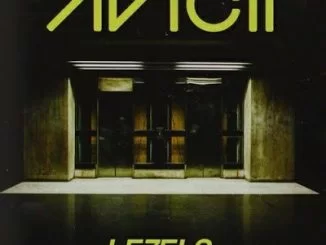 Avicii, Levels (Smiz Playtown Afro Spiritual Mix), mp3, download, datafilehost, fakaza, Afro House, Afro House 2018, Afro House Mix, Afro House Music, Afro Tech, House Music
