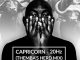 Capricorn, 20Hz (Themba’s Herd Mix), Themba, mp3, download, datafilehost, fakaza, Afro House, Afro House 2018, Afro House Mix, Afro House Music, Afro Tech, House Music
