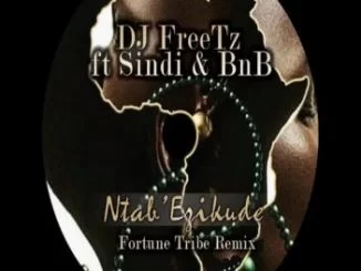 DJ FreeTz, Ntab’ Ezikude (Fortune Tribe Remix), Fortune Tribe, mp3, download, datafilehost, fakaza, Afro House, Afro House 2018, Afro House Mix, Afro House Music, House Music