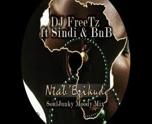 DJ Freetz, Ntab’ Ezikude (SoulJunky Moody Remix), Ntab’ Ezikude, SoulJunky, mp3, download, datafilehost, fakaza, Afro House, Afro House 2018, Afro House Mix, Afro House Music, Afro Tech, House Music