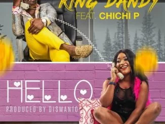 Dandy Crazy, Hello, Chichi P, mp3, download, datafilehost, fakaza, Afro House, Afro House 2018, Afro House Mix, Afro House Music, Afro Tech, House Music