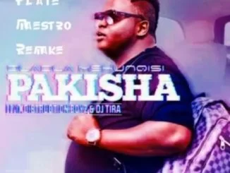 Dladla Mshunqisi, Pakisha (Plate Maestro Remake), Plate Maestro, Pakisha, mp3, download, datafilehost, fakaza, Afro House, Afro House 2018, Afro House Mix, Afro House Music, House Music