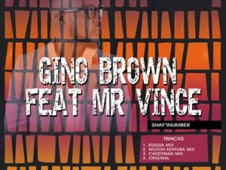 Gino Brown, Shay′INumber (Kususa Remix), Mr Vince, mp3, download, datafilehost, fakaza, Afro House, Afro House 2018, Afro House Mix, Afro House Music, Afro Tech, House Music