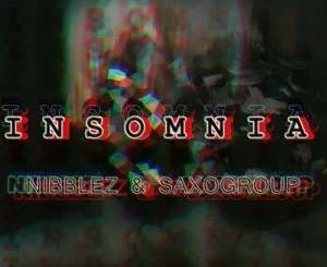 Nibblez, SaxoGroup, Insomnia (Afro Tech), mp3, download, datafilehost, fakaza, Afro House, Afro House 2018, Afro House Mix, Afro House Music, Afro Tech, House Music