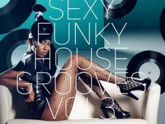 VA, Sexy Funky House Grooves Vol.3, download ,zip, zippyshare, fakaza, EP, datafilehost, album, Afro House, Afro House 2018, Afro House Mix, Afro House Music, Afro Tech, House Music