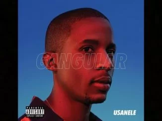 uSanele, Skellies, 45 Degrees, Windows 2000, mp3, download, datafilehost, fakaza, Afro House, Afro House 2018, Afro House Mix, Afro House Music, Afro Tech, House Music