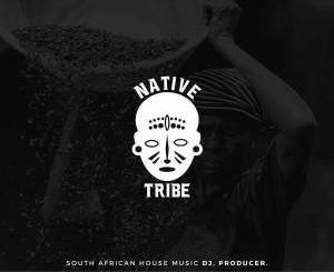 Native Tribe, Positive Energy Only Vol.3 (Guest Mix), mp3, download, datafilehost, fakaza, Afro House, Afro House 2019, Afro House Mix, Afro House Music, Afro Tech, House Music