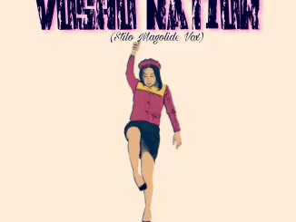 Chroniq Soundz, Vosho Nation (Magolide Vox), Stilo Magolide, mp3, download, datafilehost, fakaza, Gqom Beats, Gqom Songs, Gqom Music, Gqom Mix, House Music