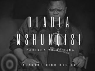 Dladla Mshunqisi, Pakisha (Thabzen Bibo Remix), mp3, download, datafilehost, fakaza, Afro House, Afro House 2019, Afro House Mix, Afro House Music, Afro Tech, House Music