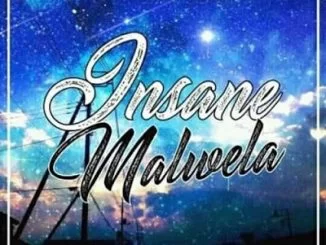 DeMajor, Traveller (Insane Malwela Remix), Lizwi, mp3, download, datafilehost, fakaza, Afro House, Afro House 2019, Afro House Mix, Afro House Music, Afro Tech, House Music