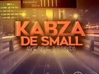 Kabza De Small, Avenue Session Vol 6, mp3, download, datafilehost, fakaza, Afro House, Afro House 2019, Afro House Mix, Afro House Music, Afro Tech, House Music, Amapiano, Amapiano Songs, Amapiano Music