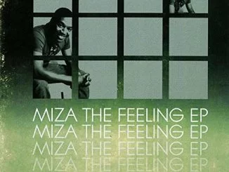 Miza, The Feeling, download ,zip, zippyshare, fakaza, EP, datafilehost, album, Afro House, Afro House 2018, Afro House Mix, Afro House Music, Afro Tech, House Music