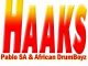 Pablo SA, African DrumBoyz, Haaks (Afro Mix), mp3, download, datafilehost, fakaza, Afro House, Afro House 2019, Afro House Mix, Afro House Music, Afro Tech, House Music