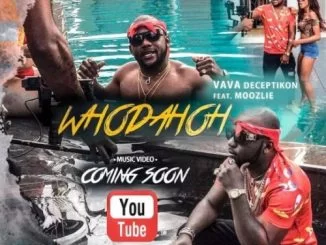 Vava Deceptikon, Whodahoh, Moozlie, mp3, download, datafilehost, fakaza, Afro House, Afro House 2019, Afro House Mix, Afro House Music, Afro Tech, House Music