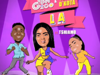 DBN Gogo, Tumza D’kota, La (Original Mix), Tshiamo, mp3, download, datafilehost, fakaza, Afro House, Afro House 2019, Afro House Mix, Afro House Music, Afro Tech, House Music