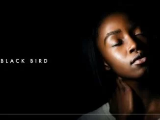 Dennis Cruz, Ian Ludvig, Black Bird (Original Mix), mp3, download, datafilehost, fakaza, Afro House, Afro House 2019, Afro House Mix, Afro House Music, Afro Tech, House Music