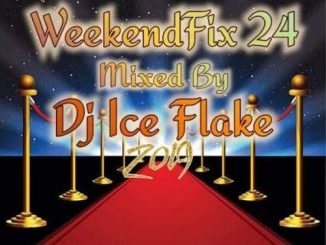 Dj Ice Flake, WeekendFix 24 2019, mp3, download, datafilehost, fakaza, Afro House, Afro House 2019, Afro House Mix, Afro House Music, Afro Tech, House Music