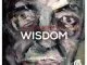 ElphaSoul, Wisdom, mp3, download, datafilehost, fakaza, Afro House, Afro House 2019, Afro House Mix, Afro House Music, Afro Tech, House Music