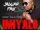 Jaguar Paw, Imiyalo (Original Mix), Eminent Fam, ZiPheko, mp3, download, datafilehost, fakaza, Afro House, Afro House 2019, Afro House Mix, Afro House Music, Afro Tech, House Music
