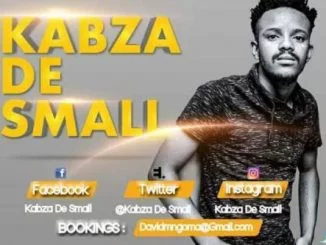 Kabza De Small , Koko (Main Mix), mp3, download, datafilehost, fakaza, Afro House, Afro House 2019, Afro House Mix, Afro House Music, Afro Tech, House Music, Amapiano, Amapiano Songs, Amapiano Music