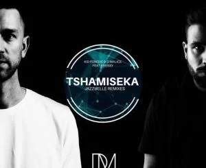 Kid Fonque, D-Malice, Khensy, Tshamiseka (Jazzuelle Remixes), download ,zip, zippyshare, fakaza, EP, datafilehost, album, Deep House Mix, Deep House, Deep House Music, Deep Tech, Afro Deep Tech, House Music