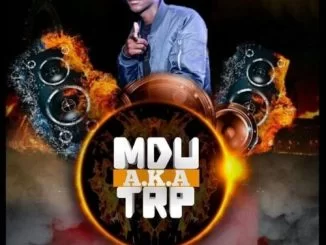 Mdu a.k.a TRP, Dlala Stoks (Remix), mp3, download, datafilehost, fakaza, Afro House, Afro House 2019, Afro House Mix, Afro House Music, Afro Tech, House Music, Amapiano, Amapiano Songs, Amapiano Music