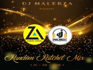 Dj Malebza, Random Ratchet Mix (01-03-2019), Random Ratchet Mix, mp3, download, datafilehost, fakaza, Afro House, Afro House 2019, Afro House Mix, Afro House Music, Afro Tech, House Music