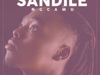 Sandile Ngcamu, Uthando, mp3, download, datafilehost, fakaza, Afro House, Afro House 2018, Afro House Mix, Afro House Music, Afro Tech, House Music