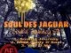 Soul Des Jaguar, Mind, Body & Soul (Original Mix), mp3, download, datafilehost, fakaza, Afro House, Afro House 2019, Afro House Mix, Afro House Music, Afro Tech, House Music