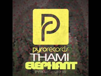 Thami, Elephant, mp3, download, datafilehost, fakaza, Afro House, Afro House 2019, Afro House Mix, Afro House Music, Afro Tech, House Music, Electronic