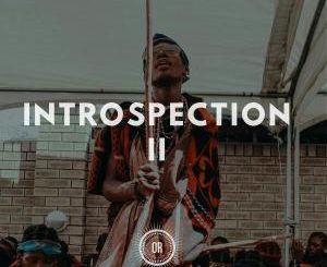 VA , Introspection Part Il, download ,zip, zippyshare, fakaza, EP, datafilehost, album, Afro House, Afro House 2019, Afro House Mix, Afro House Music, Afro Tech, House Music