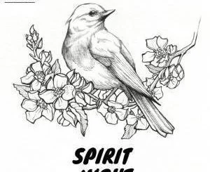 VA, Spirit Night, download ,zip, zippyshare, fakaza, EP, datafilehost, album, Afro House, Afro House 2019, Afro House Mix, Afro House Music, Afro Tech, House Music